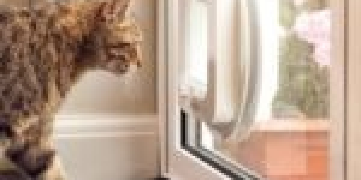 Responsible For An Cat Flap Installation Quote Budget? 12 Top Notch Ways To Spend Your Money