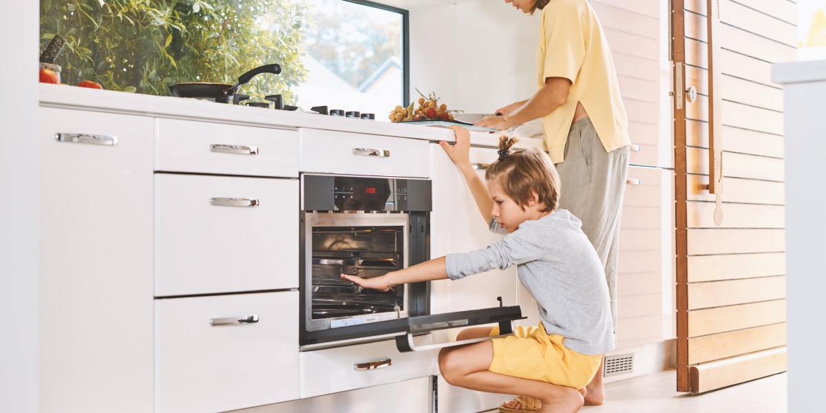 A Good Rant About Electric Integrated Oven