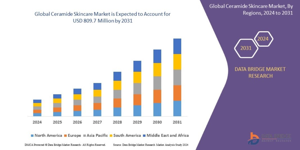 Ceramide Skincare Market Trends, Insights and Future Outlook