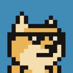 fly loong Profile Picture