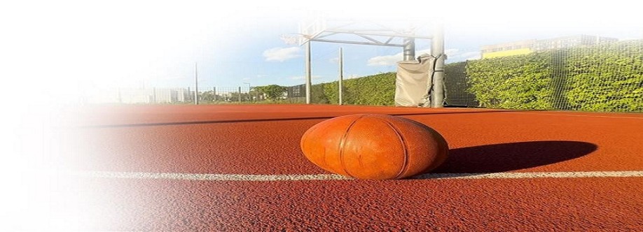 Cushion Guard Cover Image