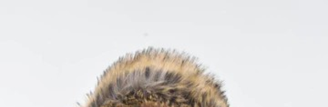 Wear Jacket Cover Image