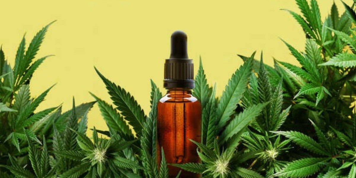 CBD Libourne : Votre Port d'Attache Bien-Être au Bord de la Dordogne