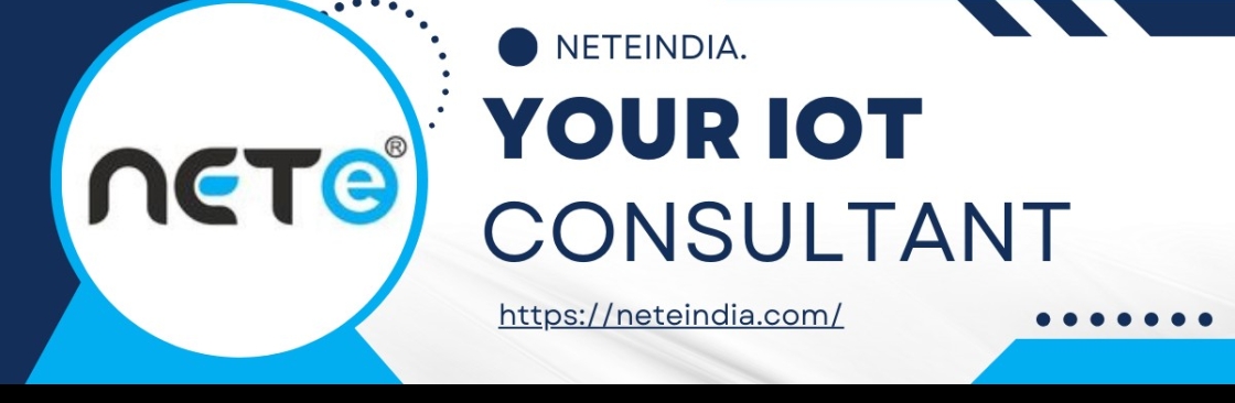 Nete India Cover Image