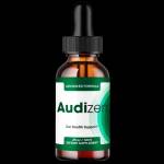 Audizen USA Profile Picture
