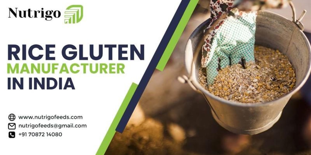 The Growing Importance of Choosing the Right Rice Gluten Manufacturer in India