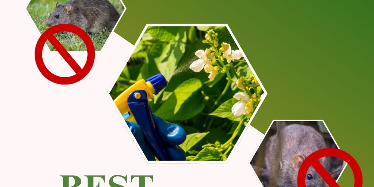 Choosing the Right Gear for Lasting Pest Results: What Really Makes a Difference