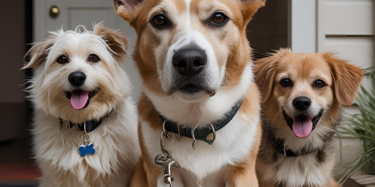 Residential Dog Training: The Complete Answer to Permanent Behavioural Modification