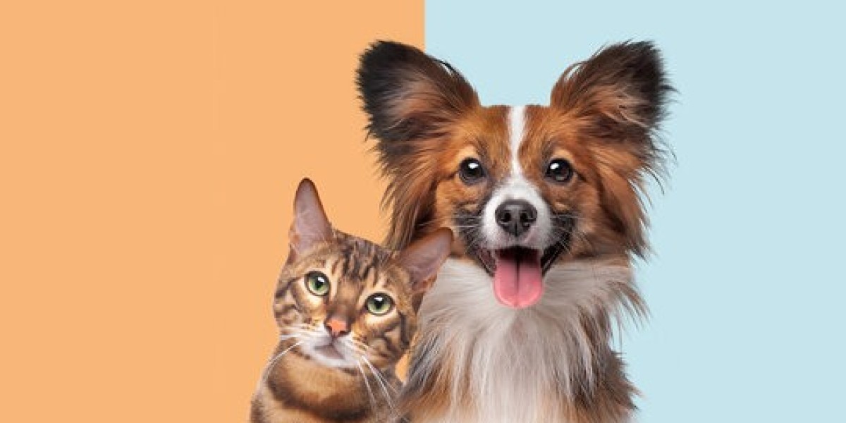 Little Friends: Dogs and Cats – A Guide to Understanding and Caring for Your Furry Companions