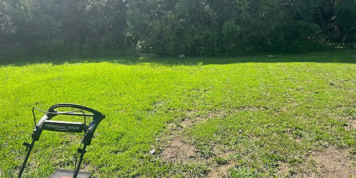 Expert Lawn Care in Virginia-Highland for Healthy Lawns