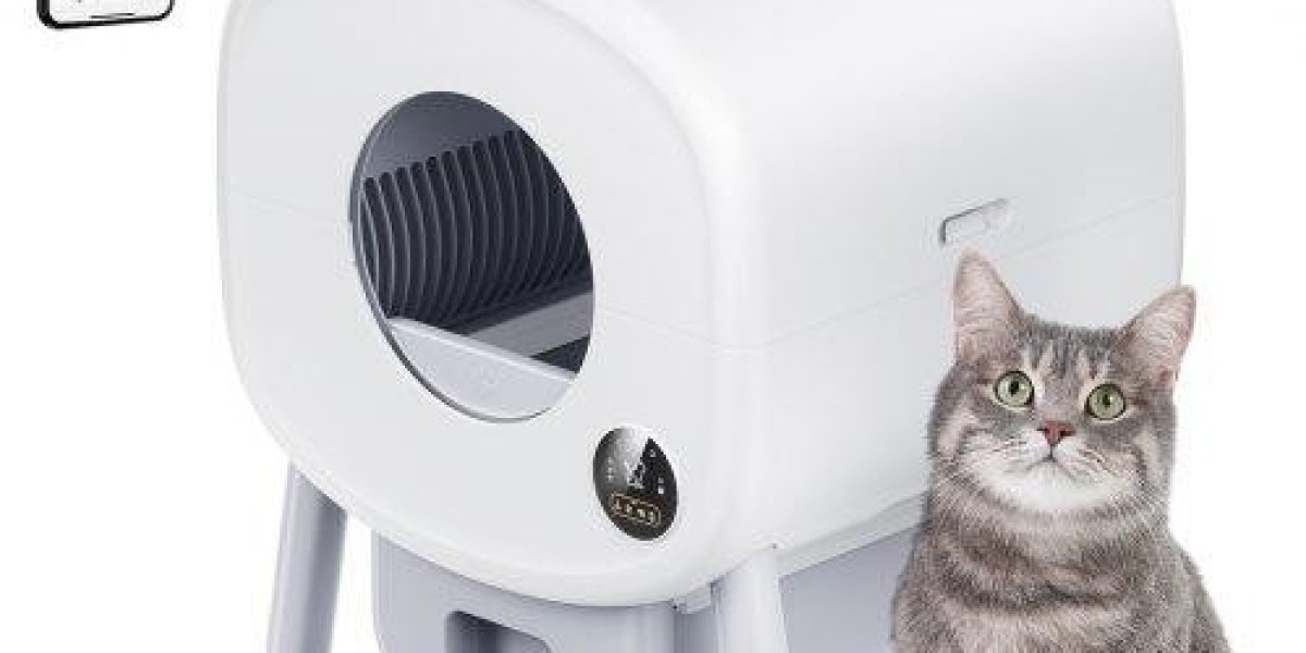 Is Pawtechpet's Automatic Cat Litter Box the Solution You've Been Seeking?