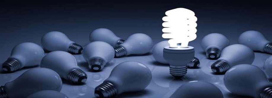 The Electrician Cover Image