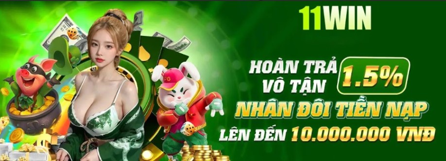 11win Cover Image