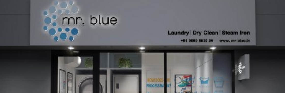 Mr Blue Cover Image