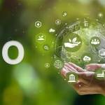 Eco Energy Improvement Profile Picture