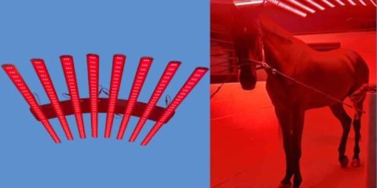 Enhancing Equine Health: The Power of Light Therapy