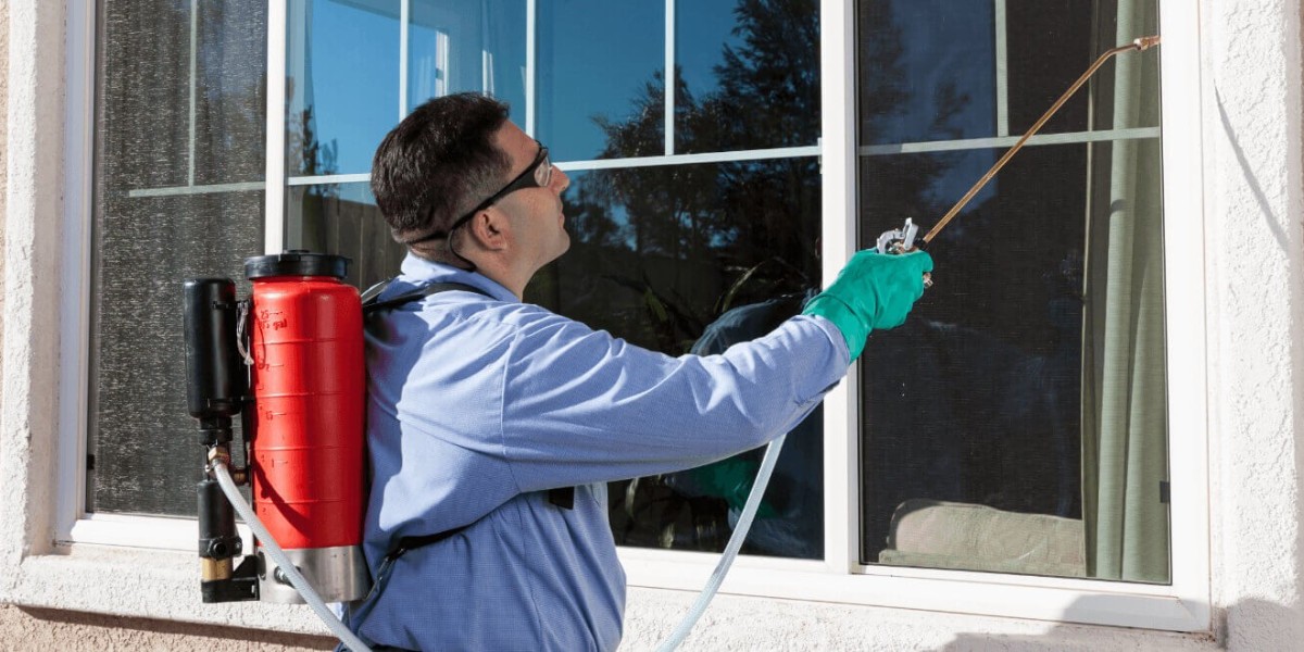 Reliable Pest Control in Queens NY for Clean, Safe Homes