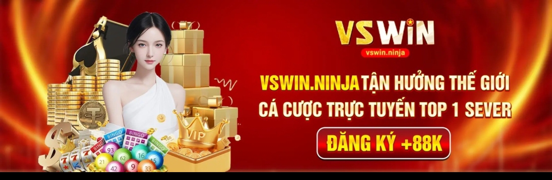 Vswin ninja Cover Image