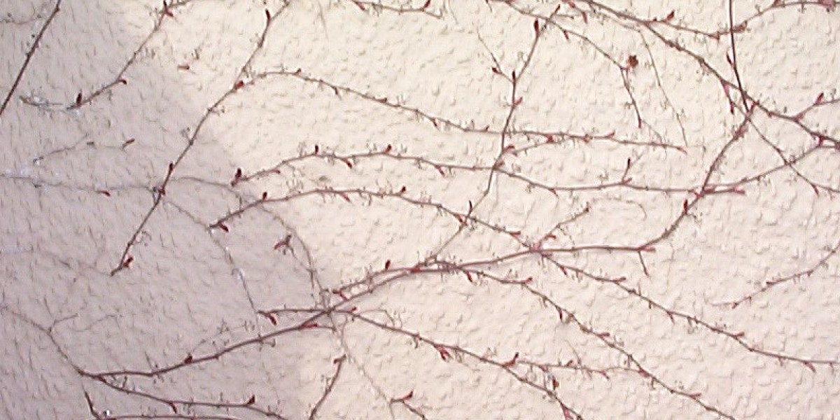 KPV Peptide: A Novel Therapeutic Approach