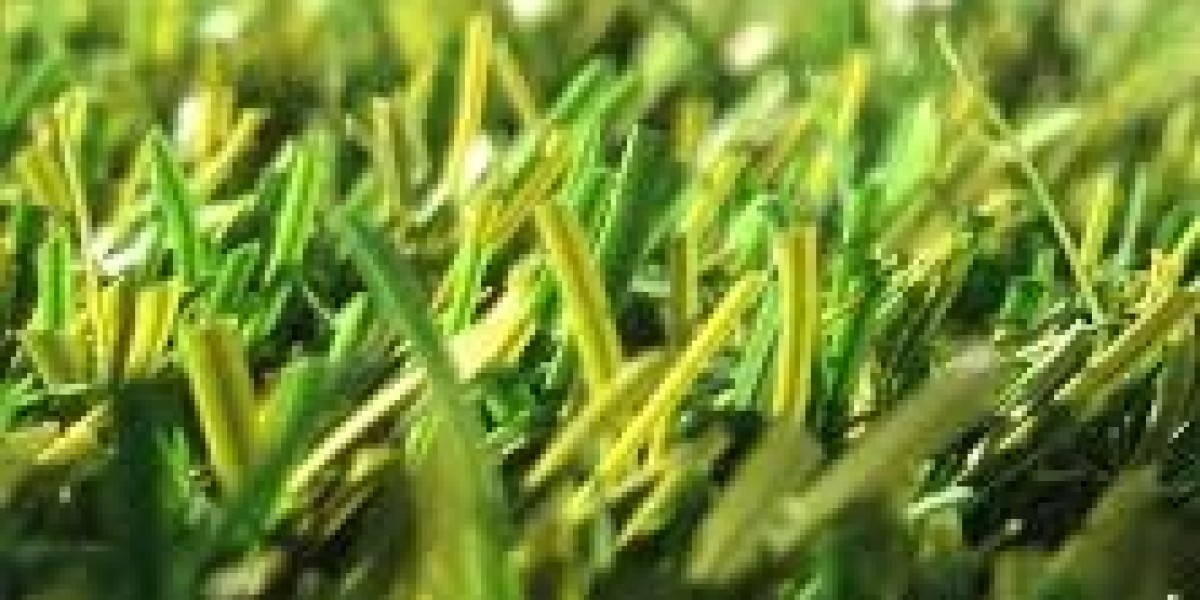 The Future of Landscaping: Artificial Grass Synthetic Turf in Reno, NV