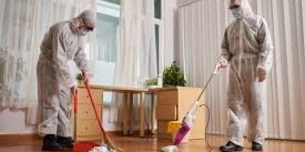 Expert Mold Damage Restoration in Vancouver, Washington: Protecting Your Home and Health