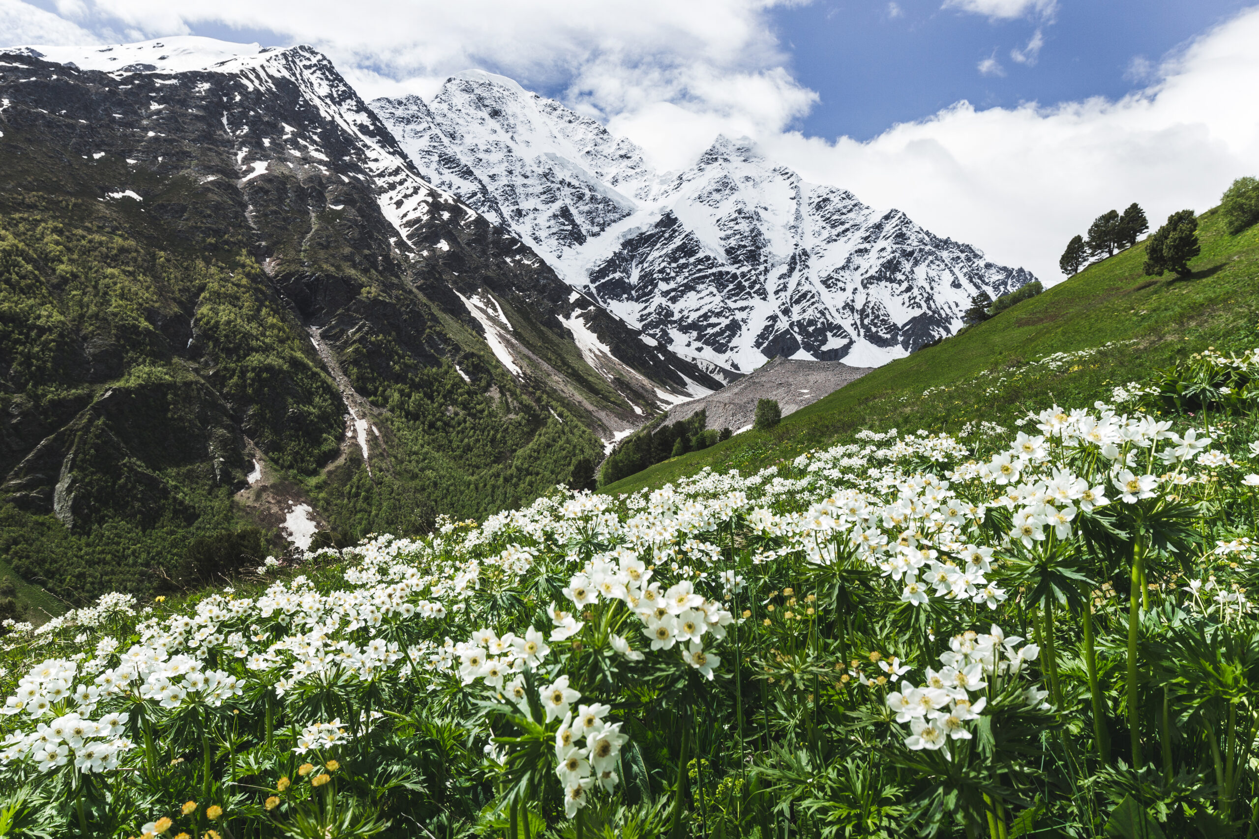 Best Monsoon Treks in Uttarakhand | Top Himalayan Trails 2025